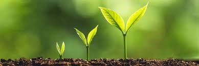Strategy Supports for SME Growth